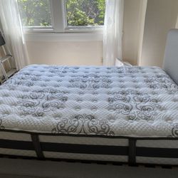 Free Queen Mattress 
