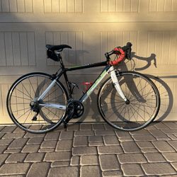 Fuji Team Pro Road Bike
