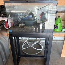 20 Gallon Fish Tank With Stand