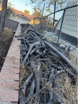 Free FireWood