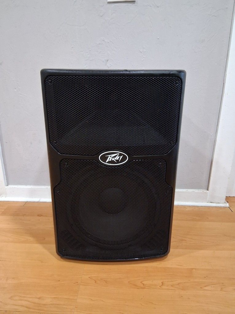 Peavy Speaker /Monitor