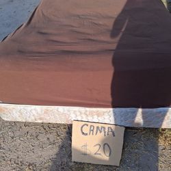 Cama