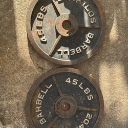 45 pound plates comes with 2