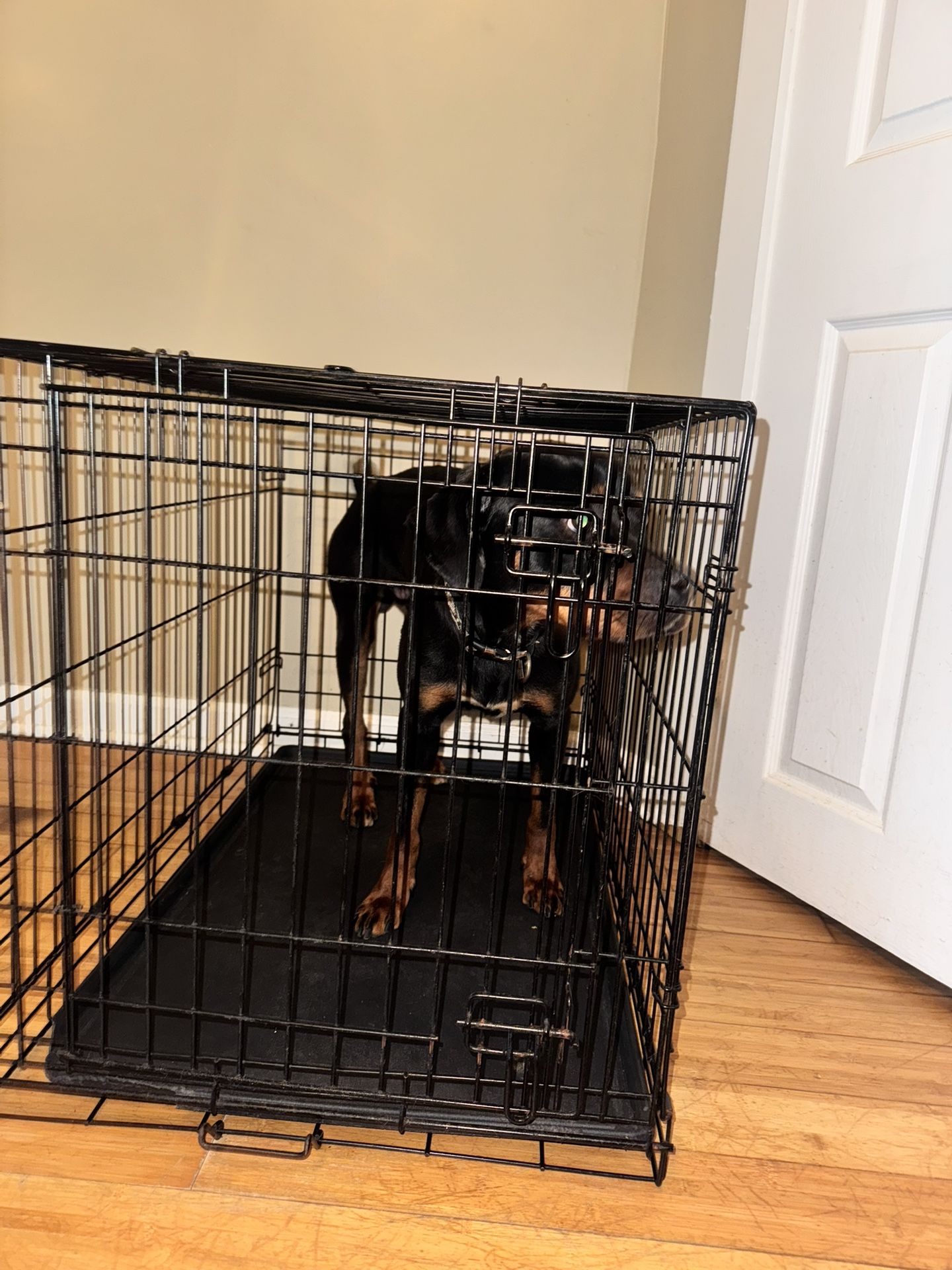 DOG CAGE