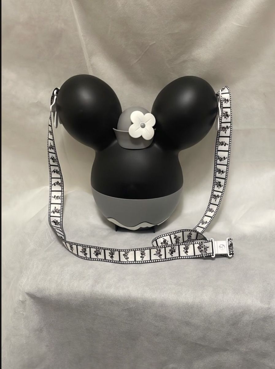 Disney Popcorn Bucket