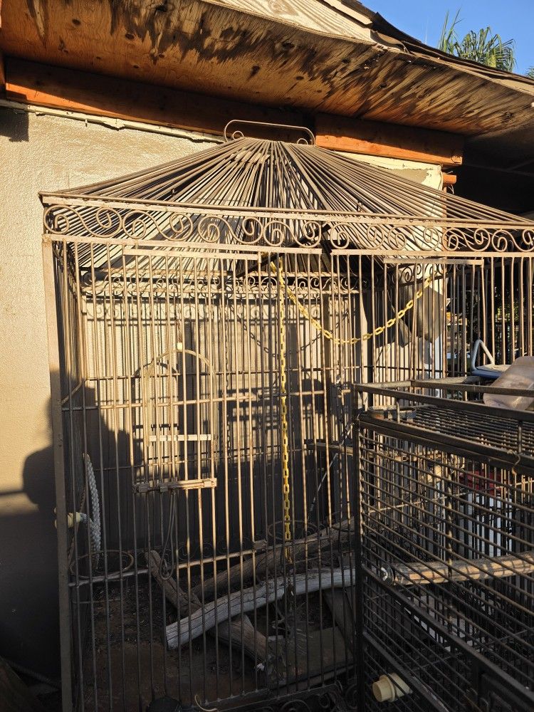 Huge Bird Cage