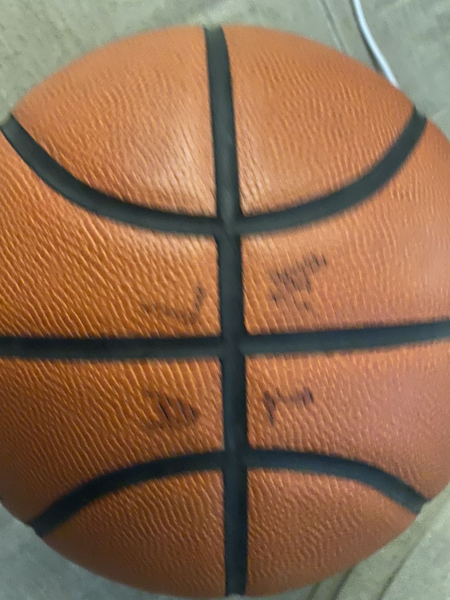 Wilson Evolution Blazers Signed Basketball
