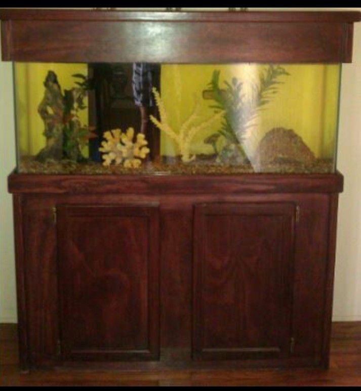 Complete Fish Tank