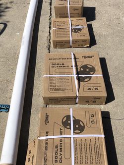 Pair Of 5lb Olympic Weight Plates