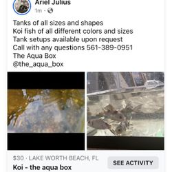 Tanks, Filters And More 