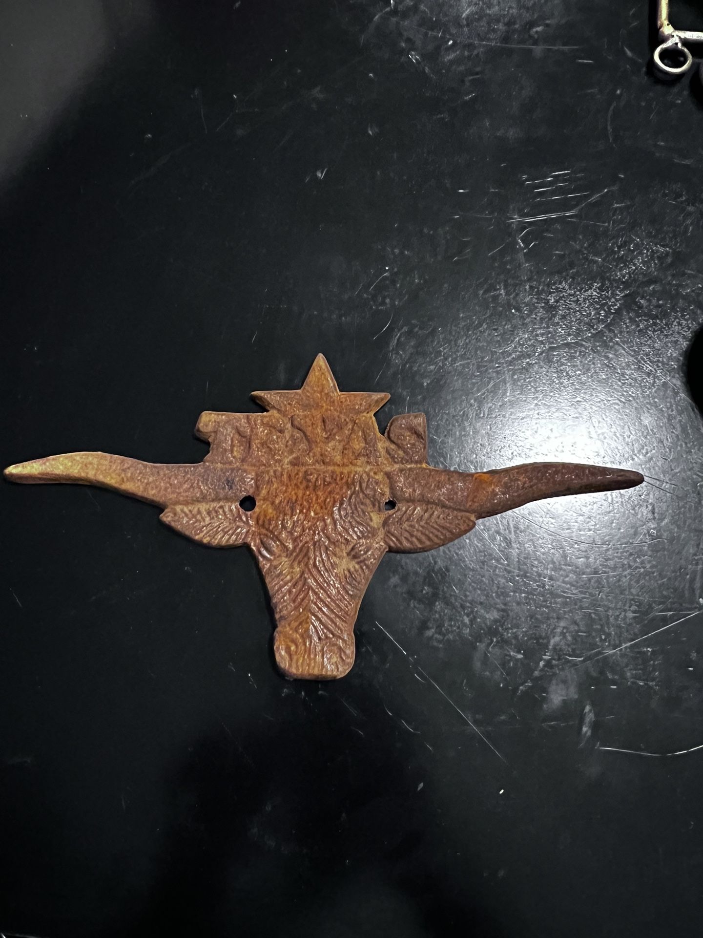 IWGAC Cast Iron Large Texas Longhorn Plaque