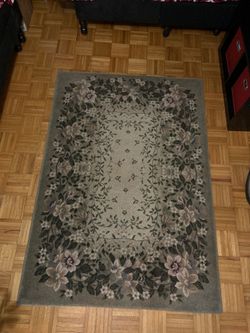Rug carpet. 64” x 46”