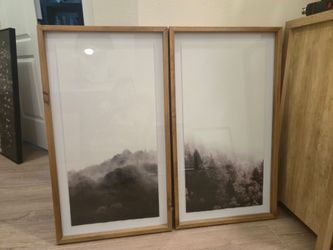 Set of 2 pictures