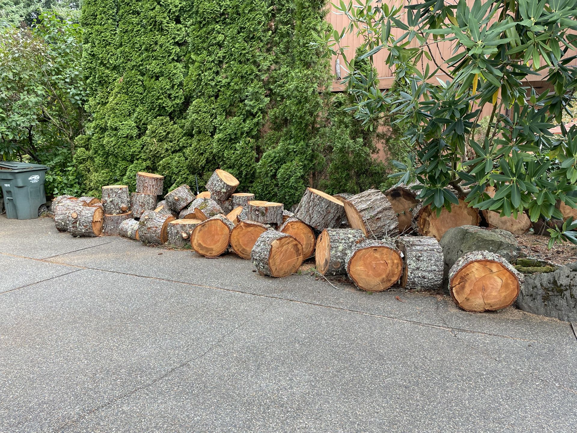 Free Firewood in University Place  You haul  