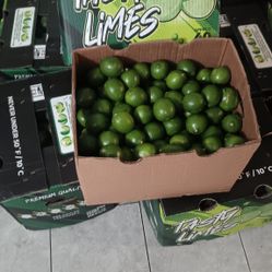 Caja de Limones Grandes 40 Lbs Aprox.