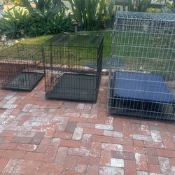 Dog Kennels , 1 Small