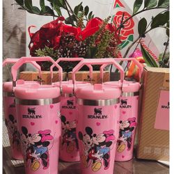 MINNIE MOUSE STANLY CUP 20-oz 