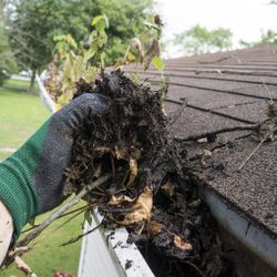gutter Cleaning 
