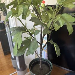 Fake plant