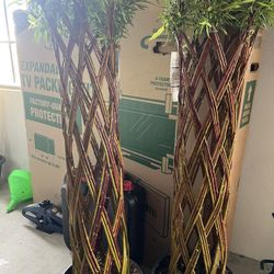 Braided Willow trees