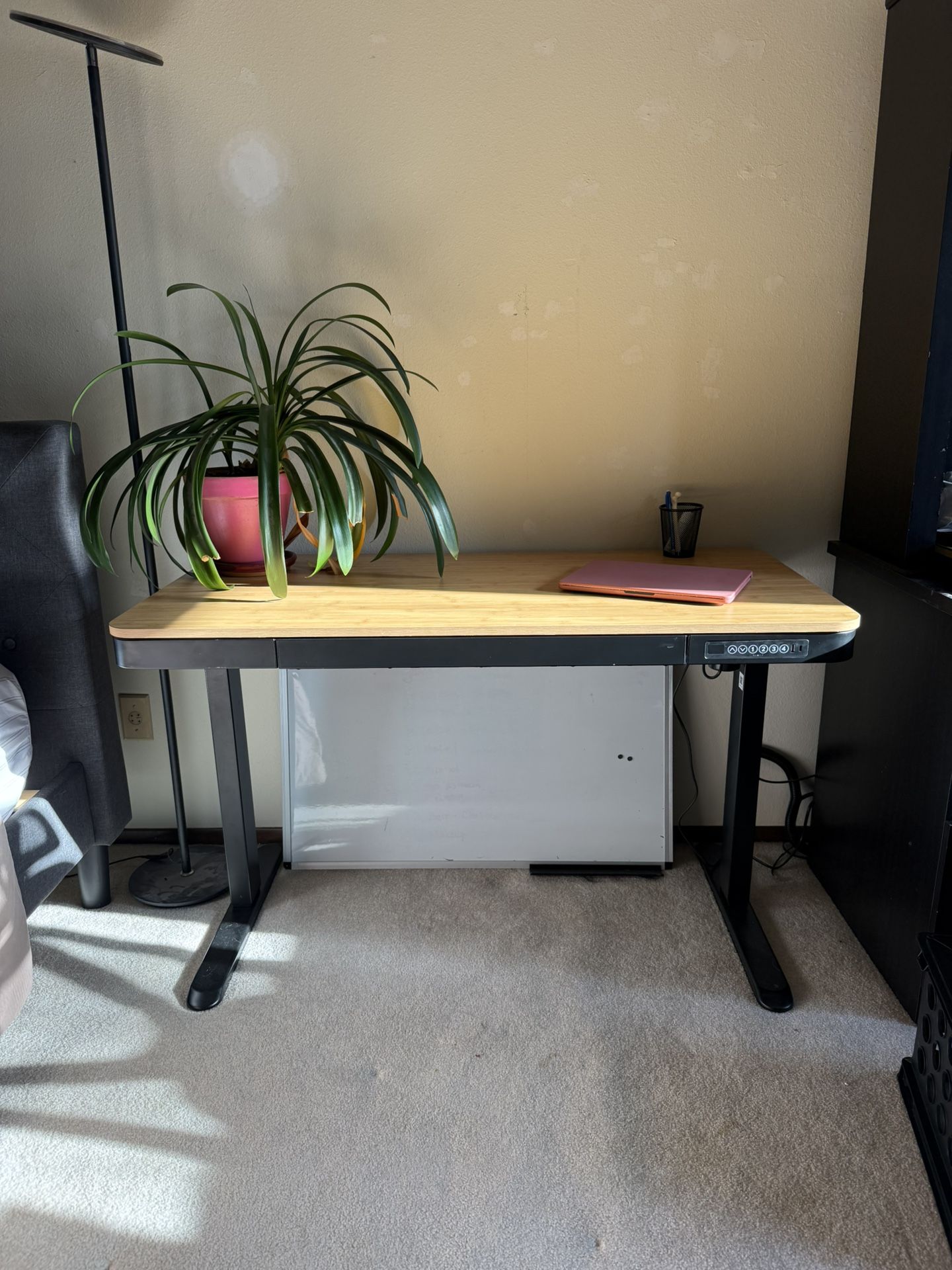 Standing Desk 