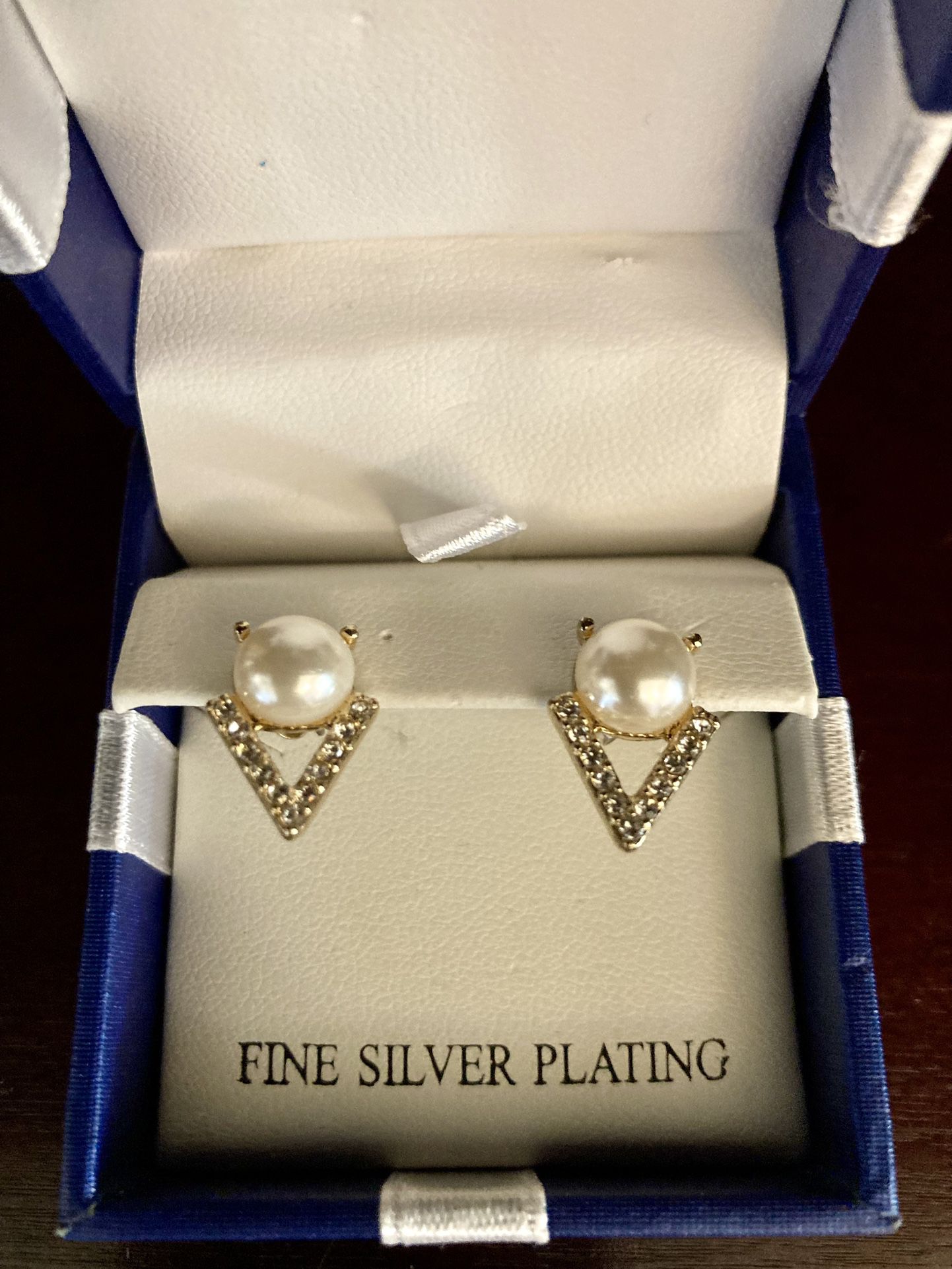 Fine Silver Plating Earrings 