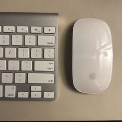 Apple Wireless Keyboard & Apple Magic Bluetooth Mouse in Silver