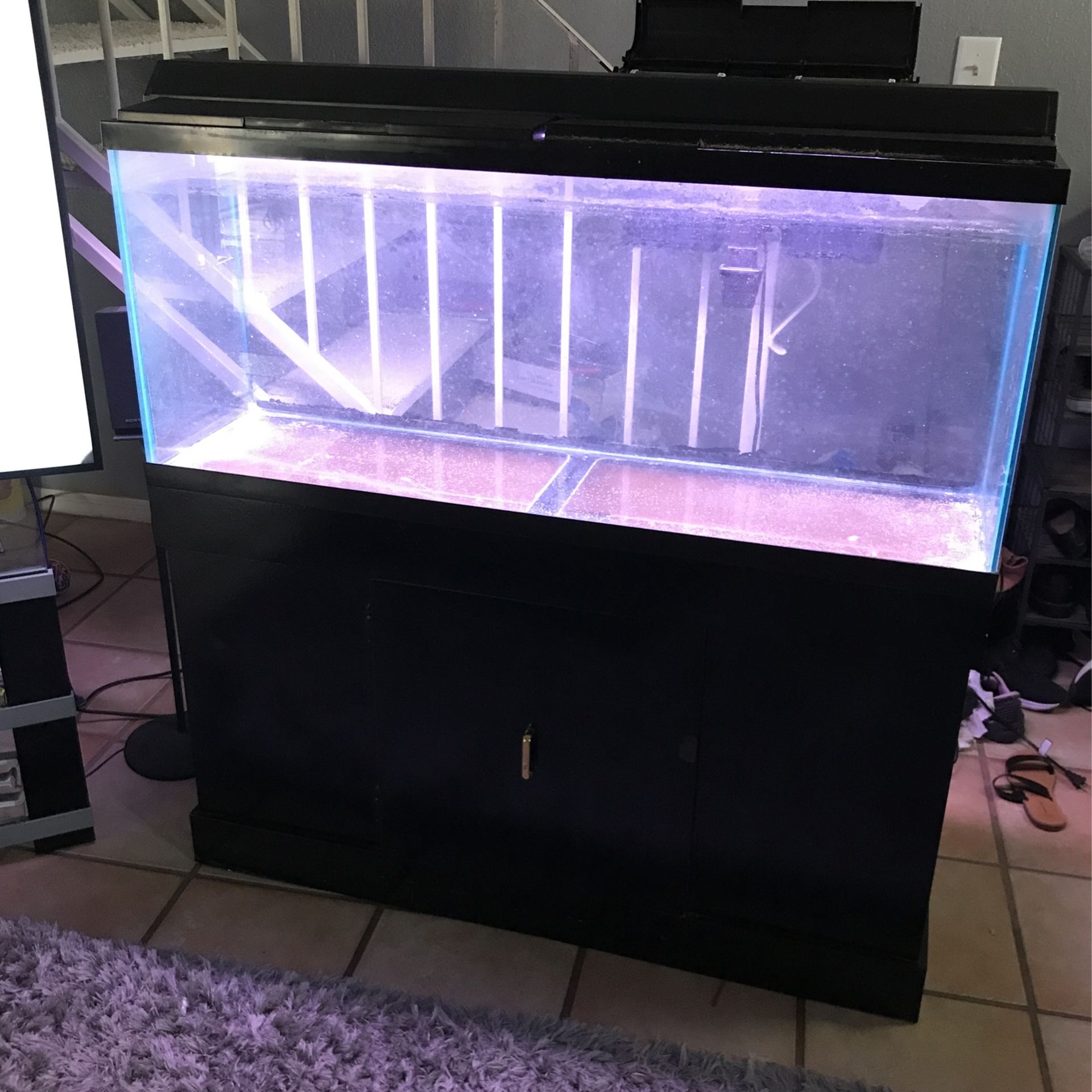 55 Gallon Aquarium, Stand, Hood, Light and Filter