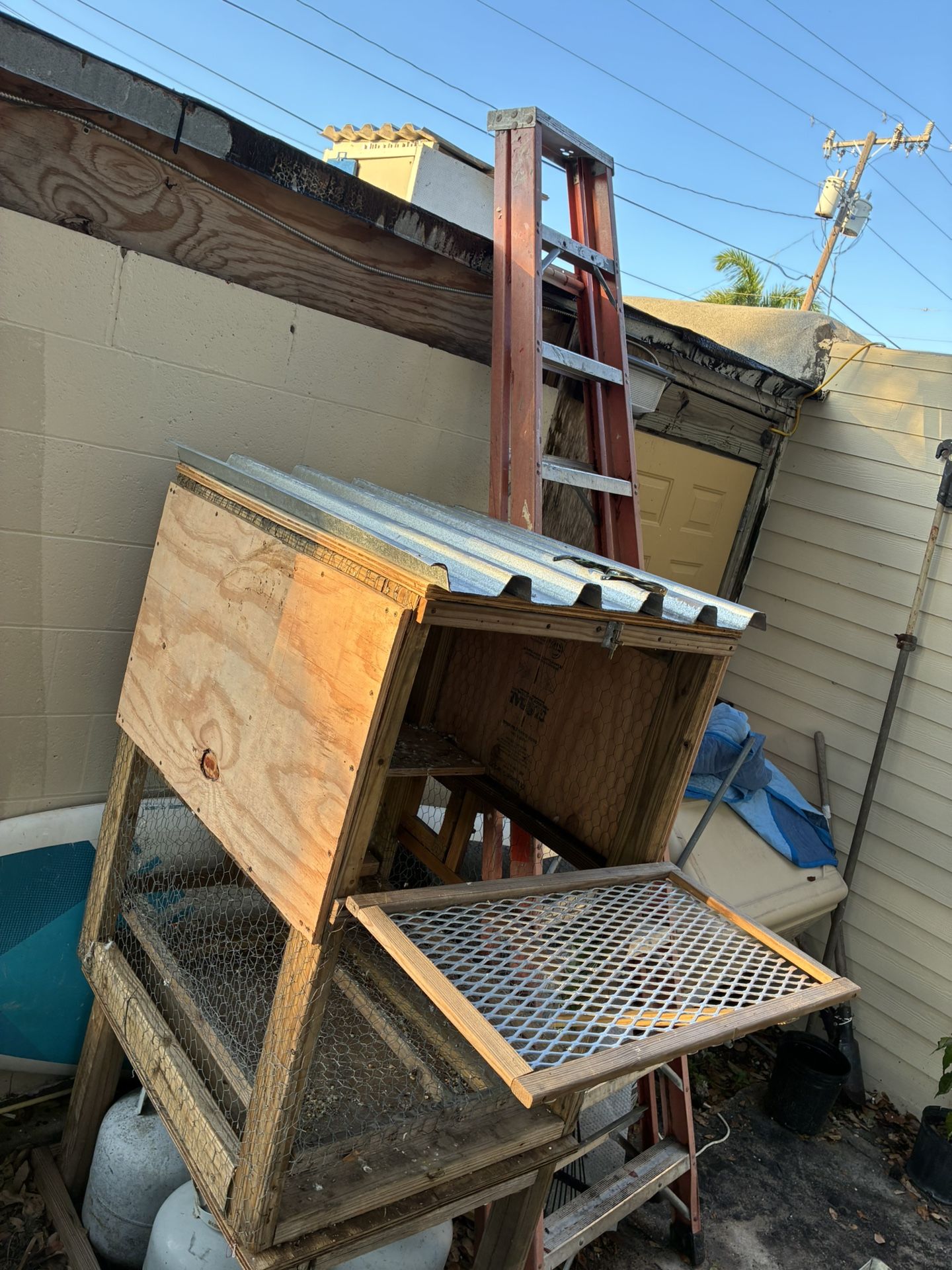 Chicken, Quail, Bird, Pigeon Coop