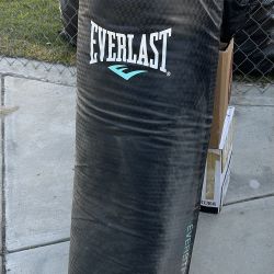 Everlast Punching Bag 