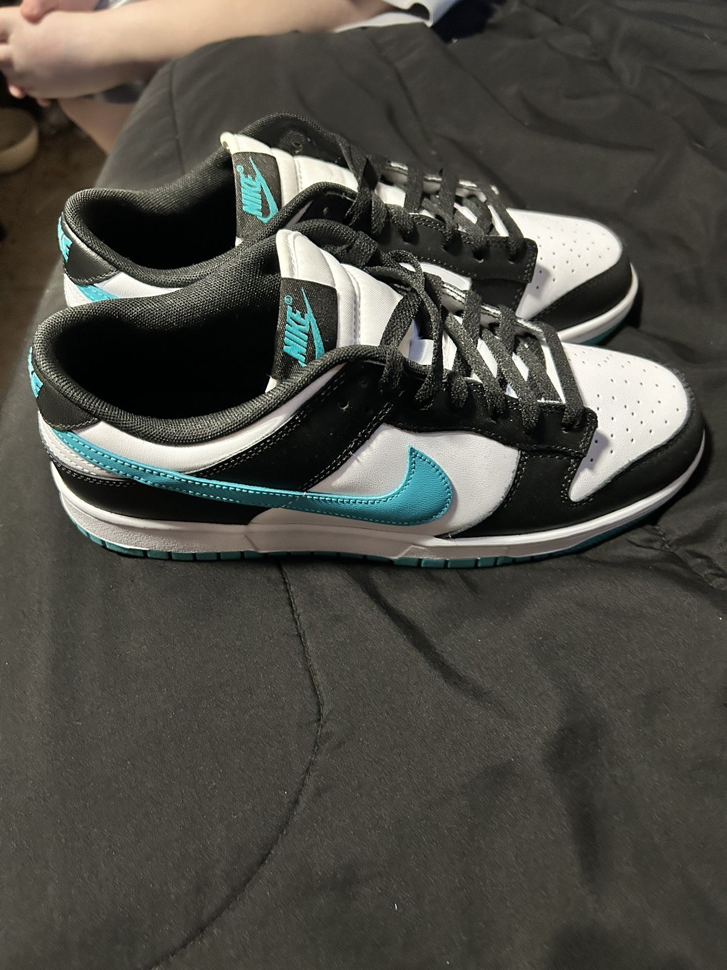 “black Dusty Cactus” Nike Dunks (10.5 Men’s)