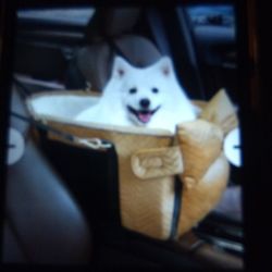 New Dog Car Seats