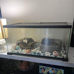 Fish/Reptile Tank 