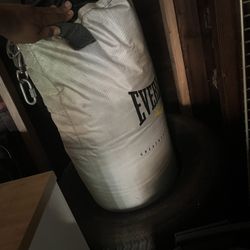 Everlast Punching Bag 