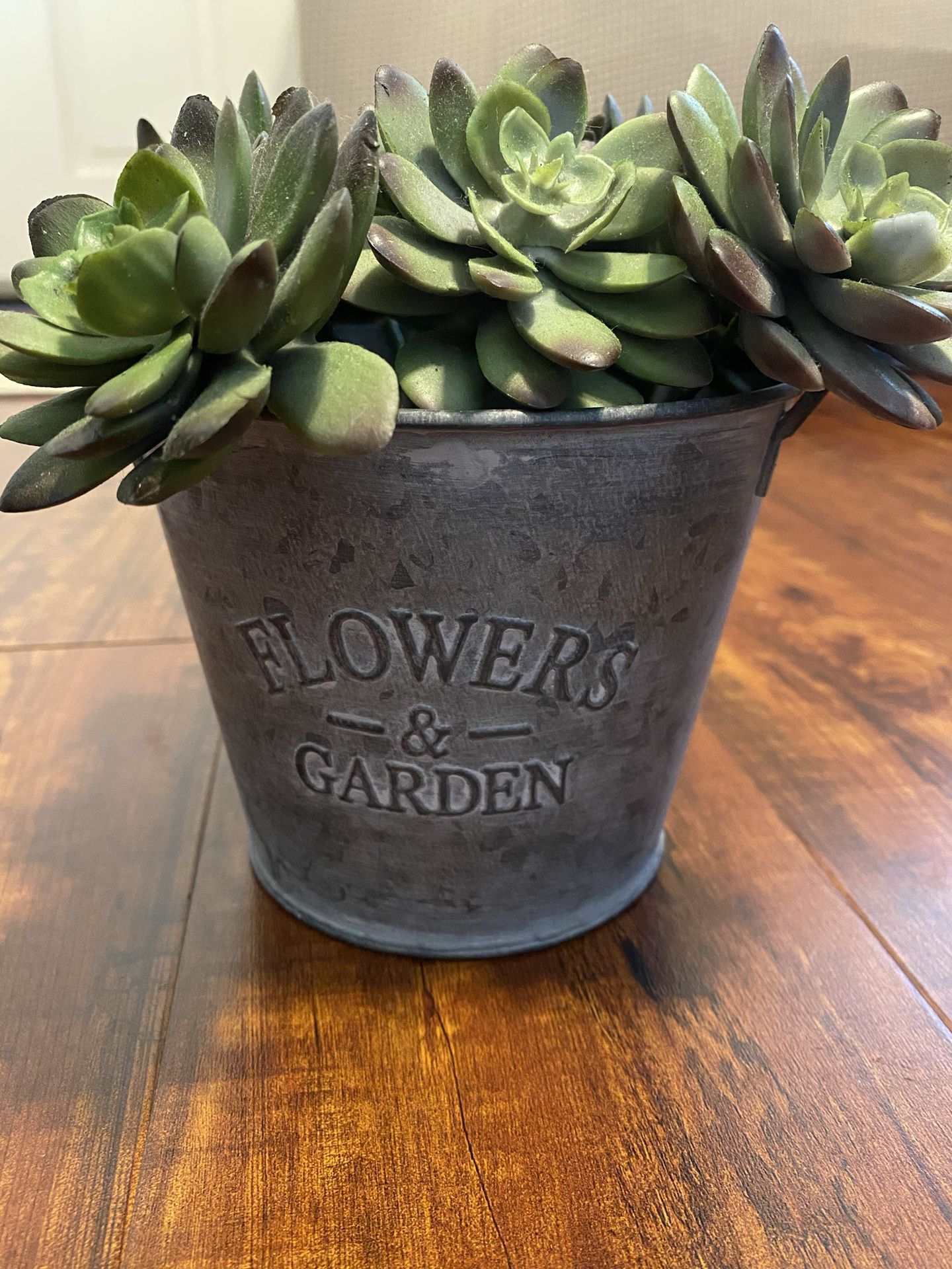 Garden bucket with fake succulent