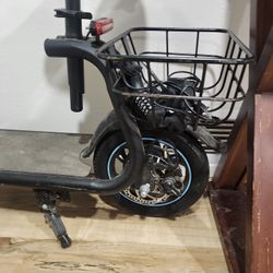 Electric Scooter 