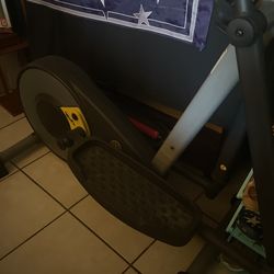 Stride Trainer 300