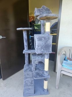 Cat house