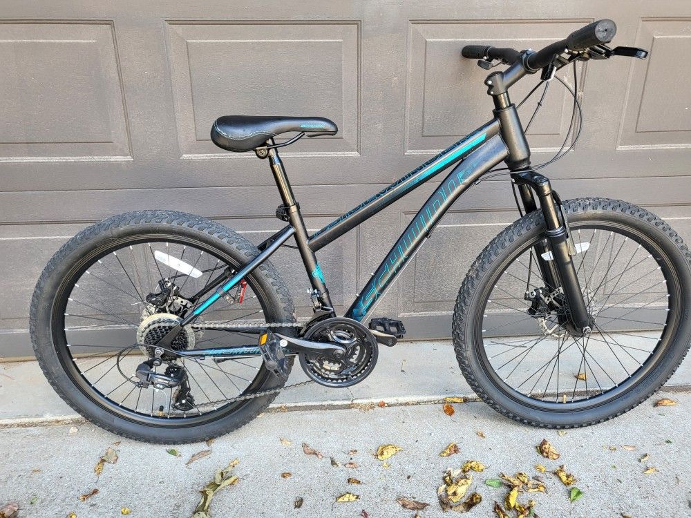 24-in Schwinn Disc Brake