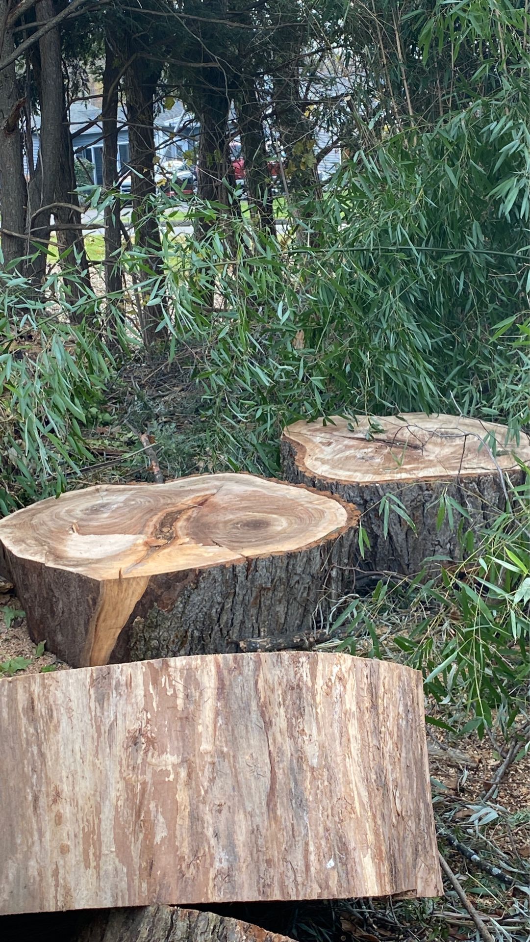 Great to make a table with