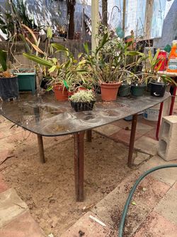 FREE GLASS TABLE