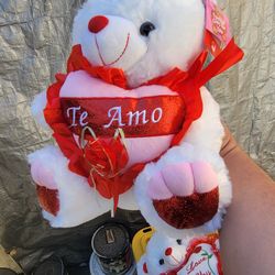 Valentines bear plushy