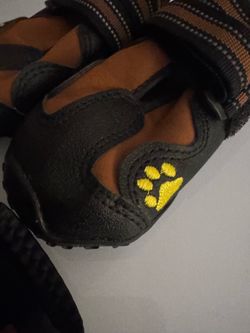 Large dog shoes