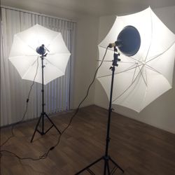 Huge Professional Photography Light Set 
