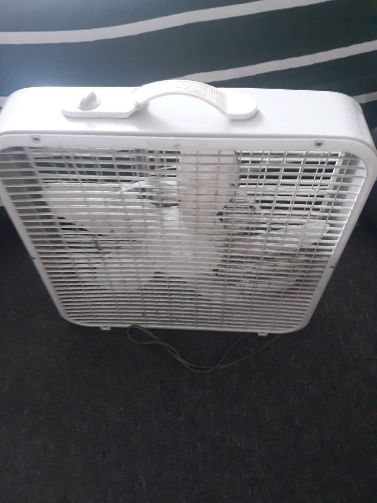 Fan