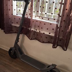 electric Scooter (Read Bio)