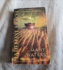 Many Waters by Madeleine L'Engle