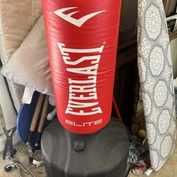 Everlast Punching Bag