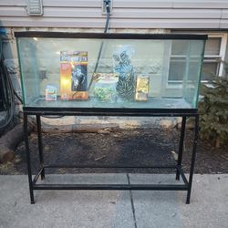 Reptile Set Up  55 Gallon Tank