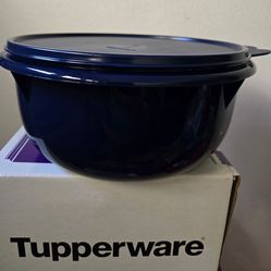 Tazon para Batir ; container